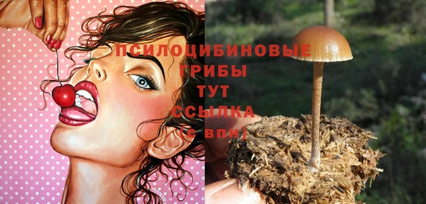 соль курить ск Слюдянка