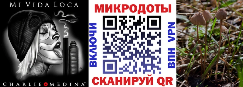 Купить  Кимры  Псилоцибиновые грибы Magic Shrooms 